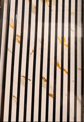 Acoustic Gold and White Marble Slatted Wall Panel  actual look